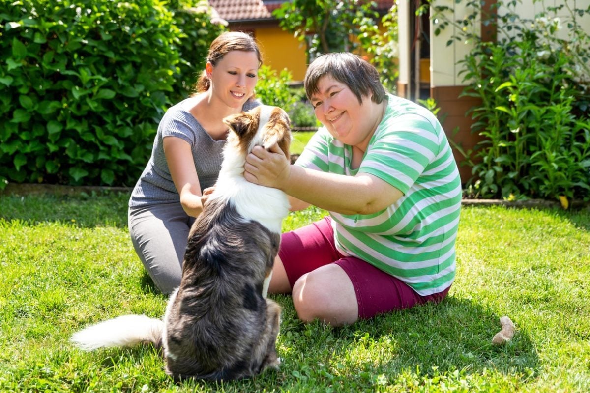 mentally disabled woman with a second woman and a companion dog, concept learning by animal assisted living