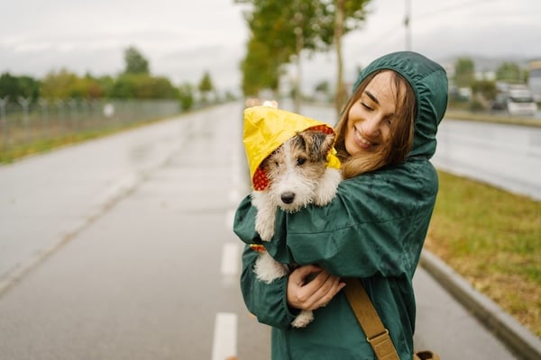 Person carries dog wearing rain jacket