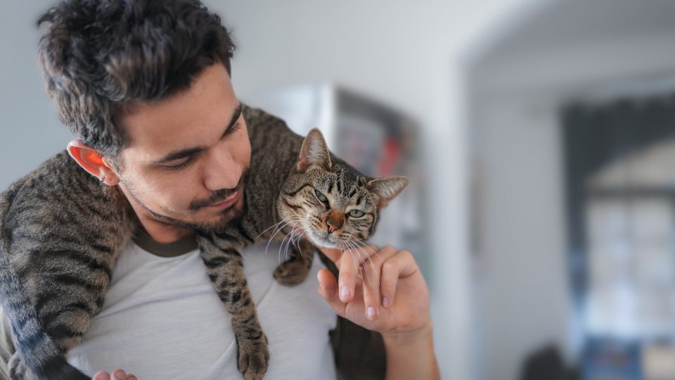 a man scratches the chin of a cat draped over his shoulders