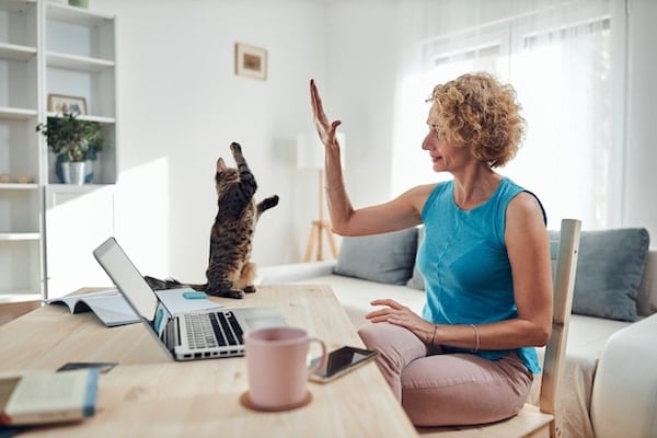 Woman working from home on a laptop with cat pet with her.