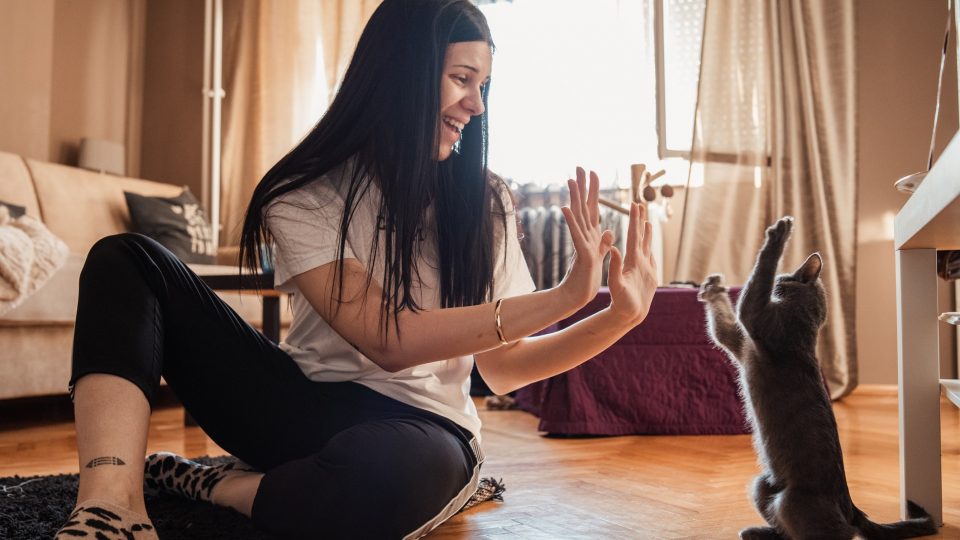 woman playing patty cake with cat