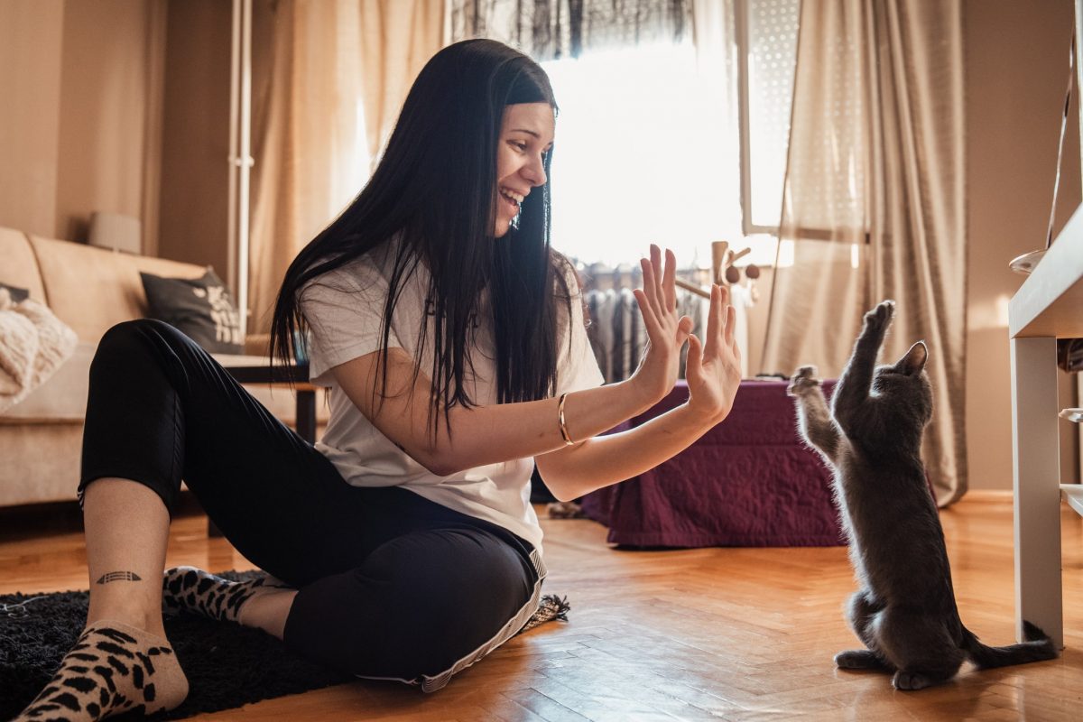Does My Cat Love Me? All About Your Cat's Love Language