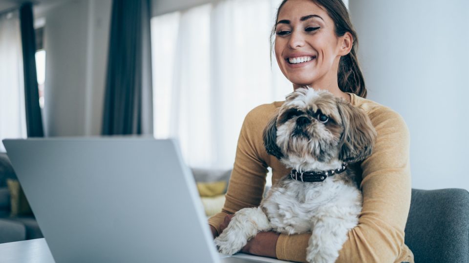 Smiling woman on laptop with dog in lap