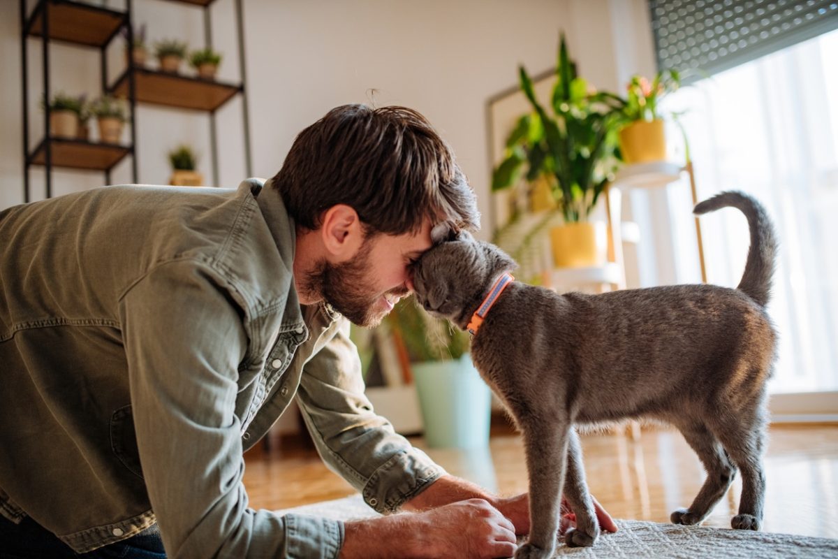 Man and cat at home