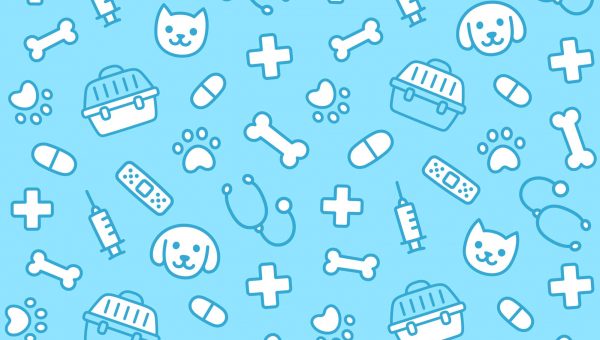 Cute vet seamless pattern. Hand drawn background of pet faces and veterinary equipment