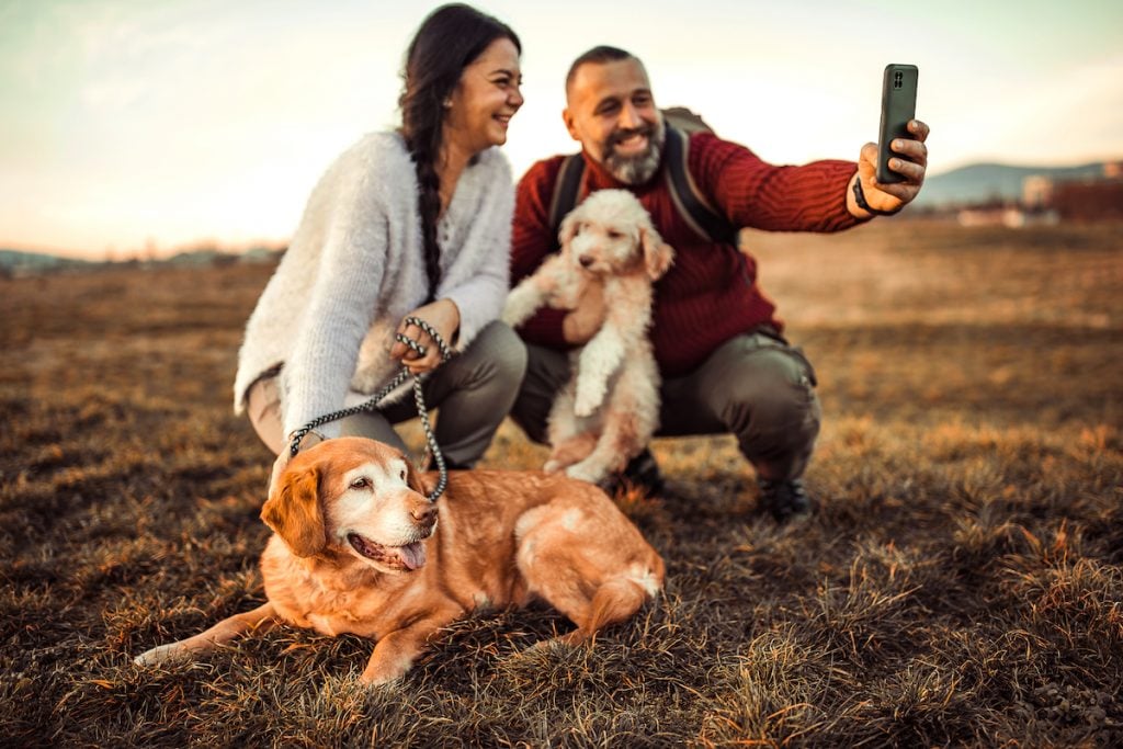 Ein Paar mit Hunden in einem Feld posieren für ein Foto
