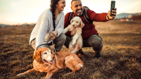 Couple posing for photo in field with dogs