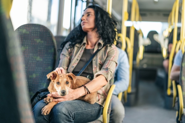 Woman with dog on bus