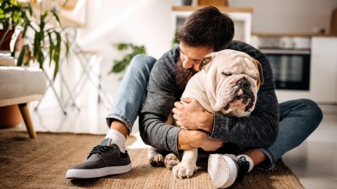 Man hugs his English Bulldog while sitting on the floor