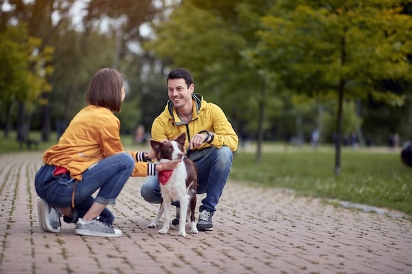 A man and a woman talking in park while petting a dog