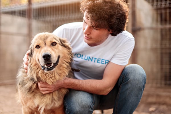 Young male volunteer taking care of shelter dog