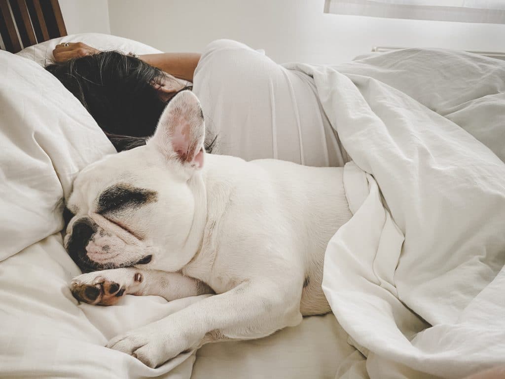 Woman sleeping back to back with dog in bed