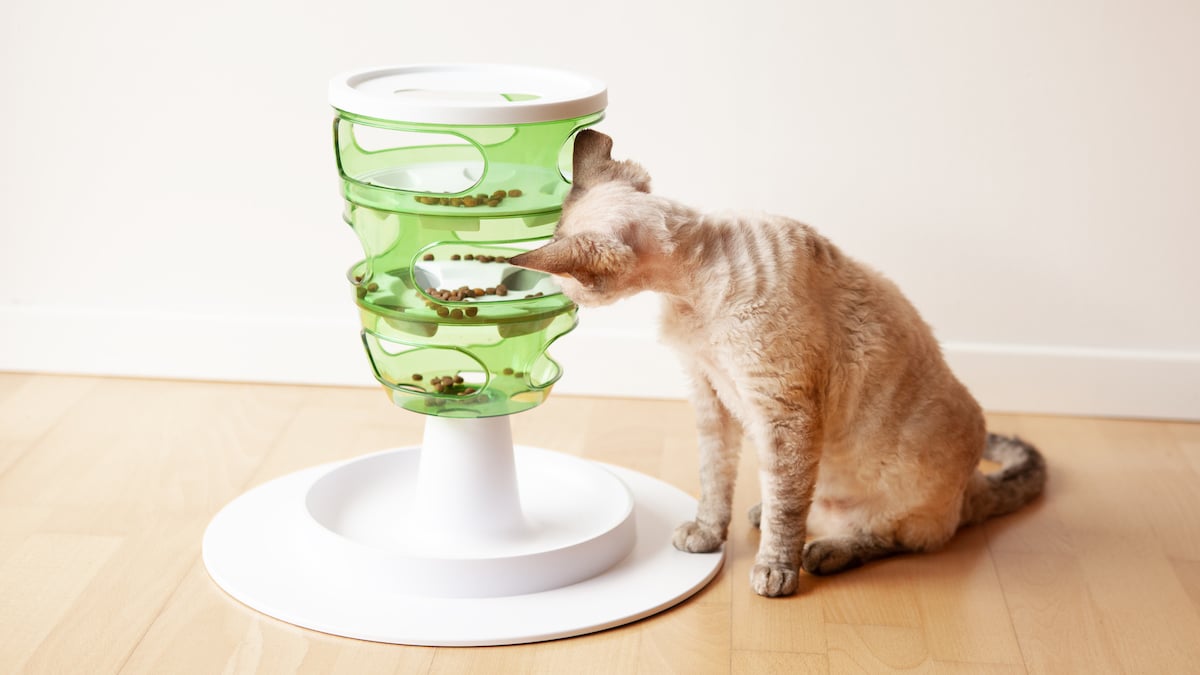 and Treat Dispensing Toys Slow Feeders Petstages Interactive Cat Puzzles 