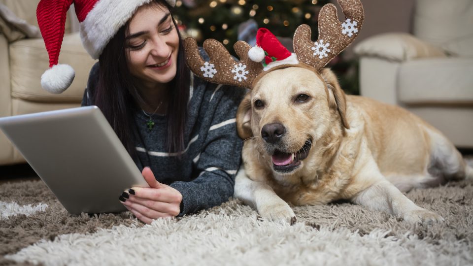 Woman sits with holiday-decorated dog