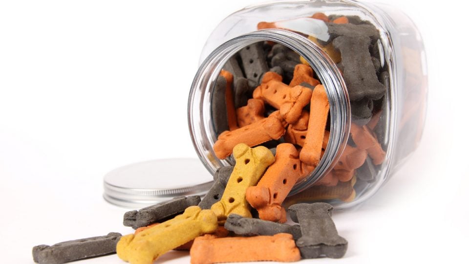 Large cookie jar spilling colorful array of dog biscuits