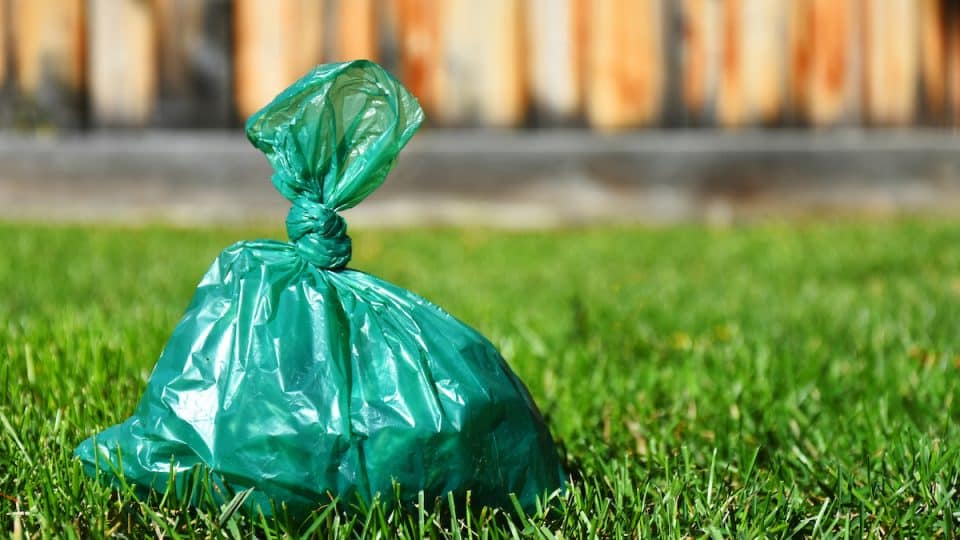A close up image of a full green plastic dog poop bag on a lush green lawn