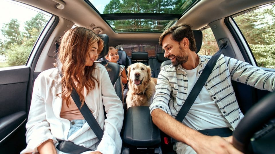 Family with dog in the car