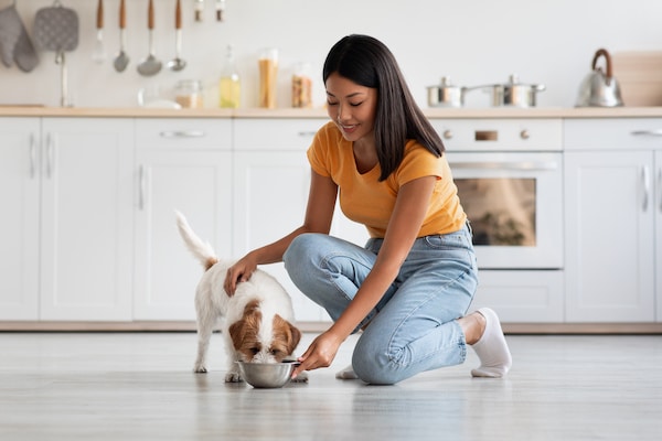 Woman pets young dog while offering food bowl