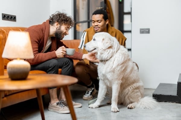 Two men pet dog, seated on couch