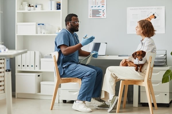 Young veterinarian giving medical advice to female pet owner holding dachshund