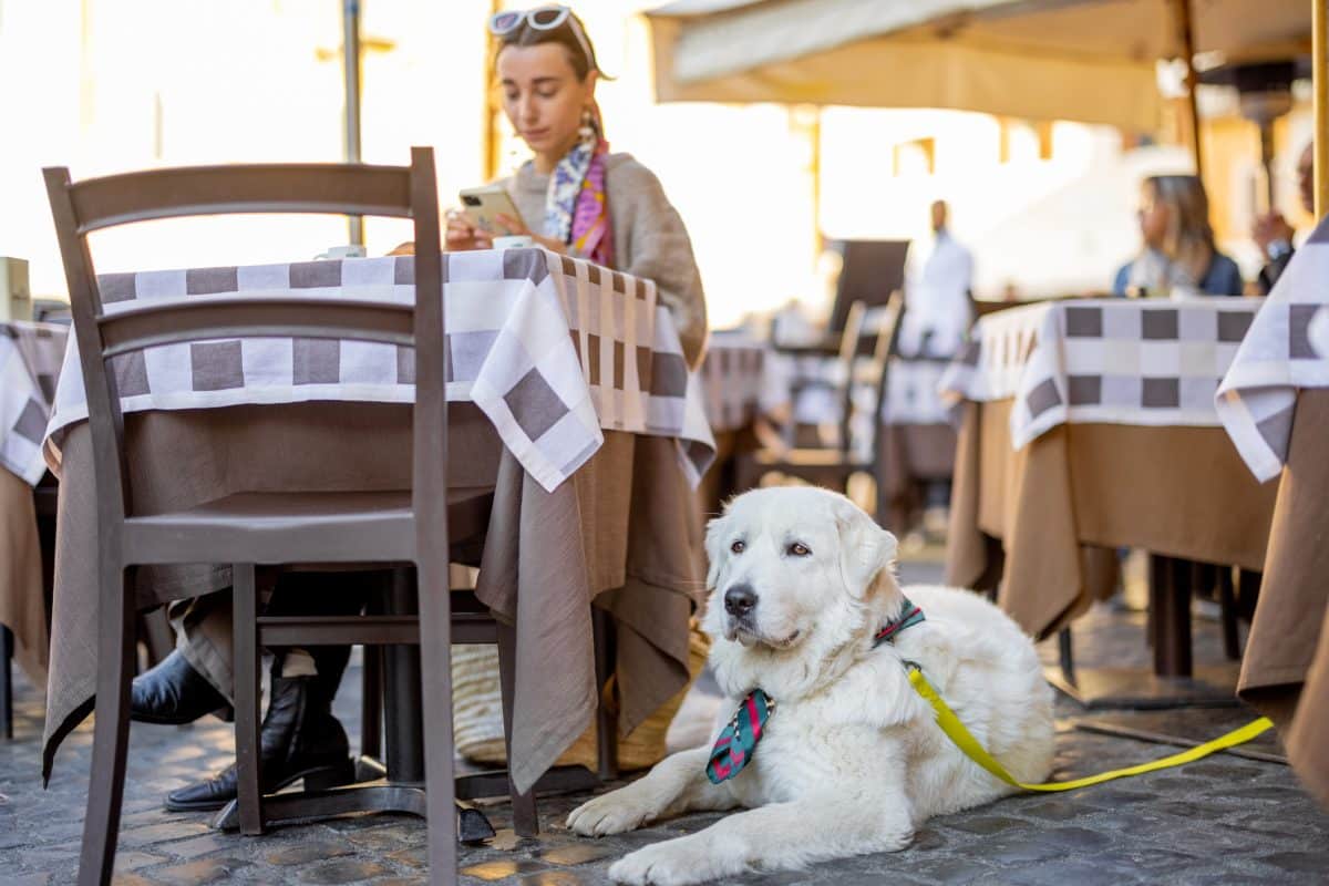 Woman sitting with her dog at traditional italian cafe outdoor.