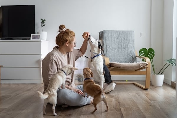 Woman plays with dogs and gives them dog biscuits