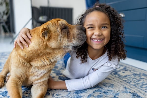 An old shar-pei dog kisses a young girl on the cheek.