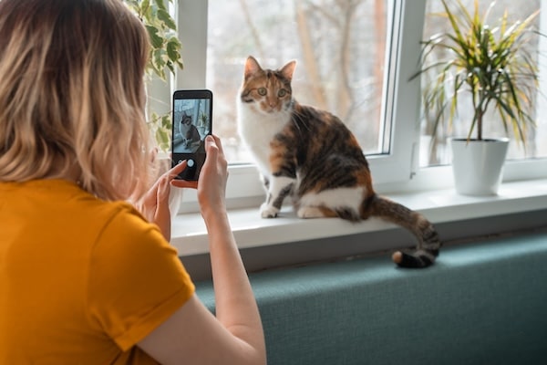 Woman takes picture of cat in window