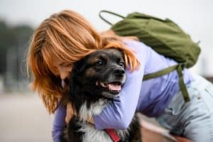 Selective focus on shaggy dog being hugged by young woman