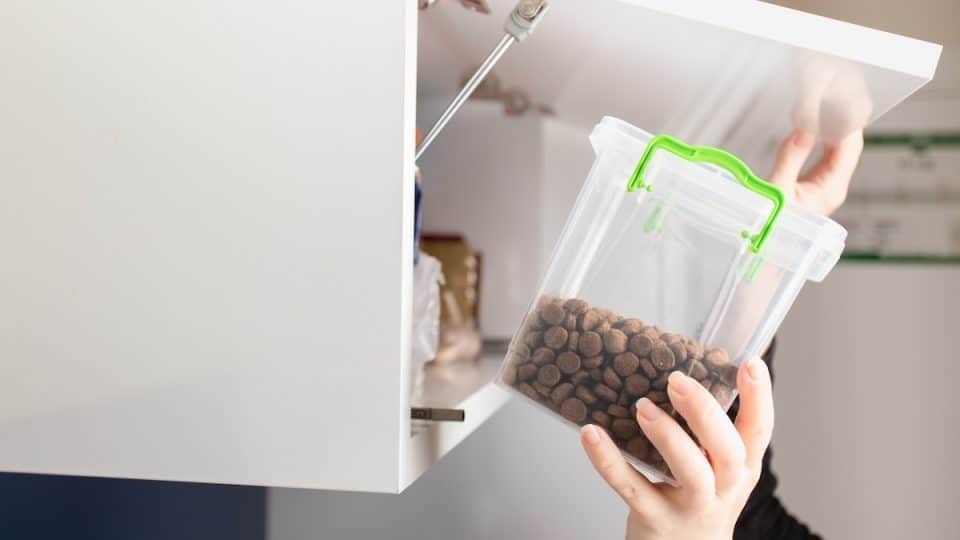 Pet food container being stored in cupboard