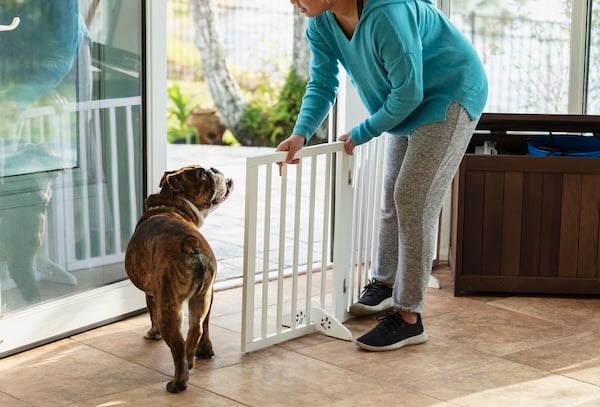 Woman setting up baby gate for dog