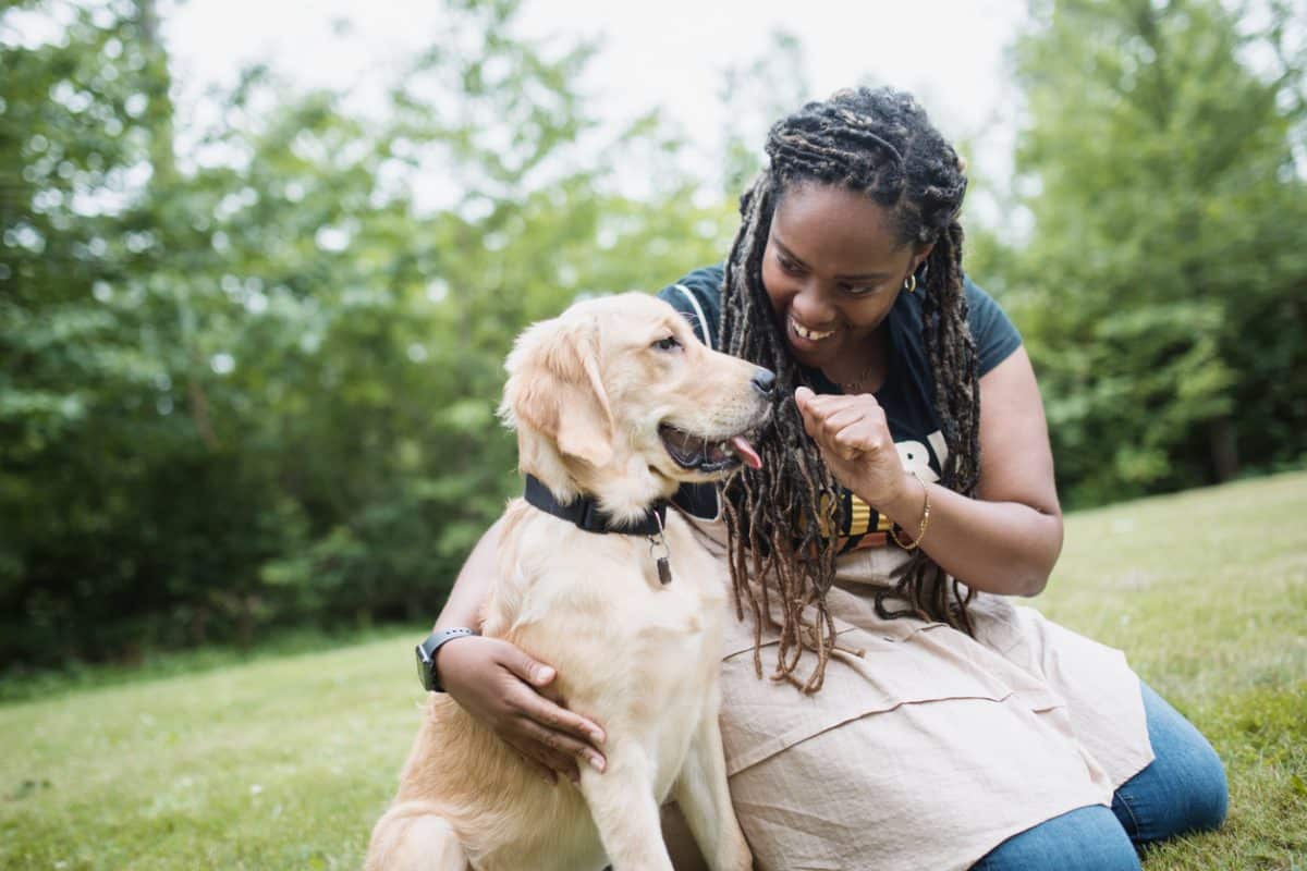 An African American woman in her mid 20s trains her puppy, a handsome male golden retriever. They sit on green grass in a city park. Shot in Tacoma, Washington, USA.