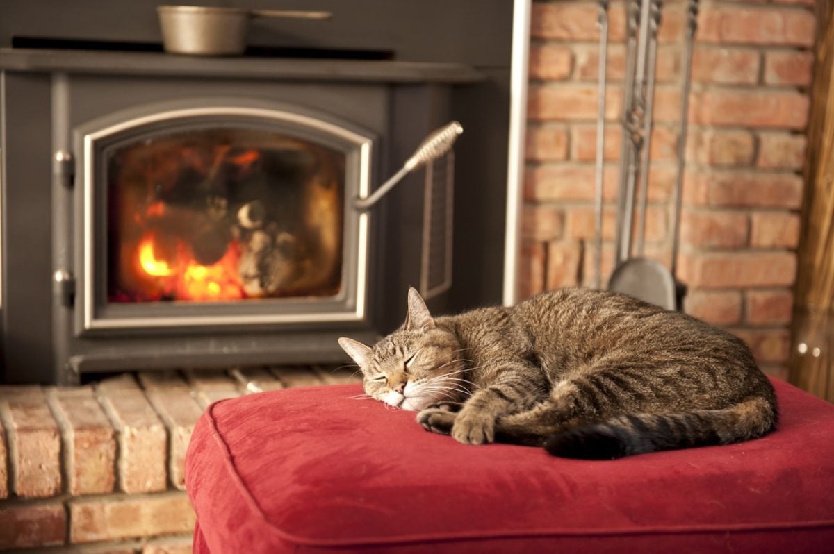 A grey tabby cat soaks up the heat in front of a wood burning stove.