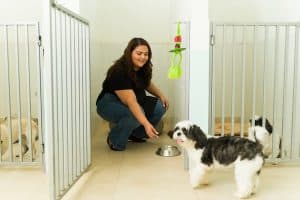 Happy kennel worker inviting dog into kennel