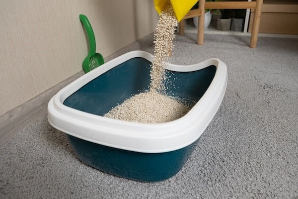 Person pouring fresh litter into litter box