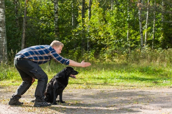 Man pointing dog toward target outdoors