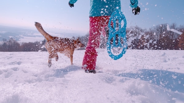Woman running through snow with dog