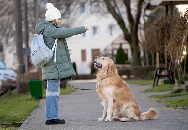 Girl training dog to sit outside