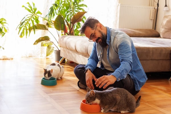 Man petting cats in home
