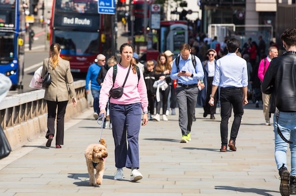 Person walking a dog on busy London street