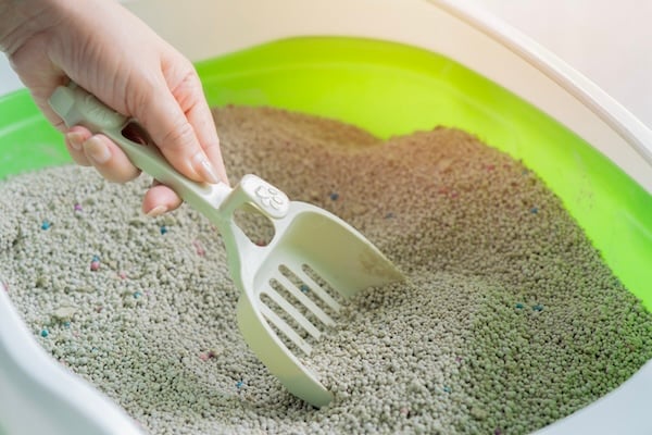 Hand using litter scoop to clean open green litter box