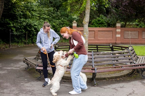 People greeting dog in park
