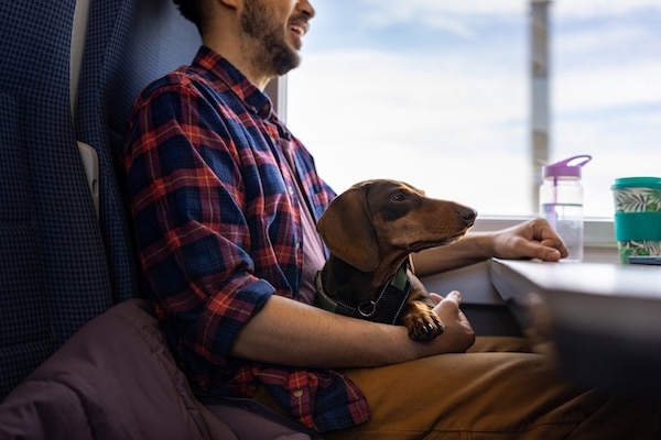 Man sitting with dog on train