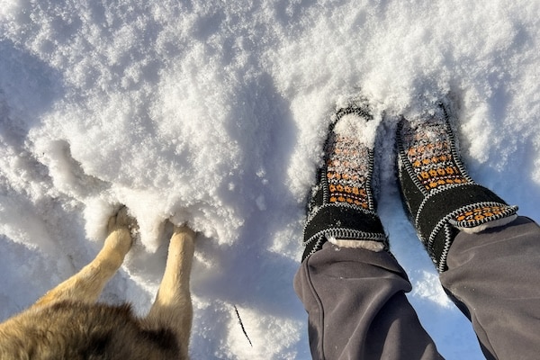 Close up of dog and human feet standing next to each other in the snow
