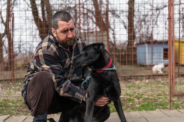 Volunteer from the dog shelter with his dog during obedience training and socialization