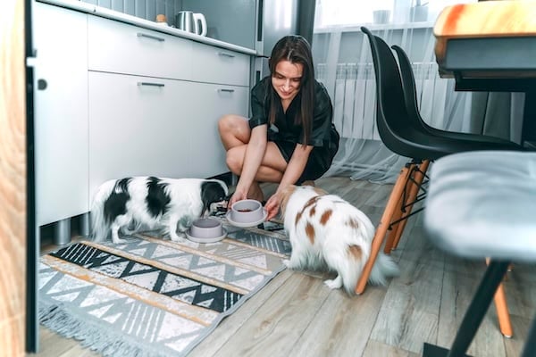 Woman feeding dogs on patterned kitchen rug
