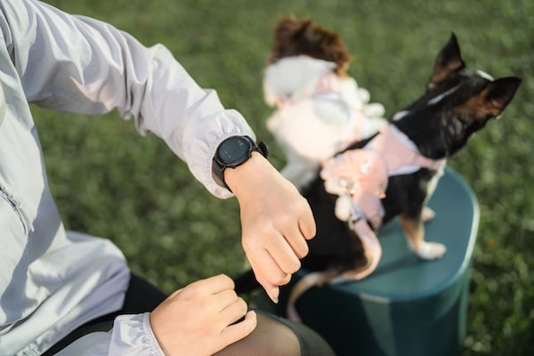 Woman checks watch while dogs play at her feet