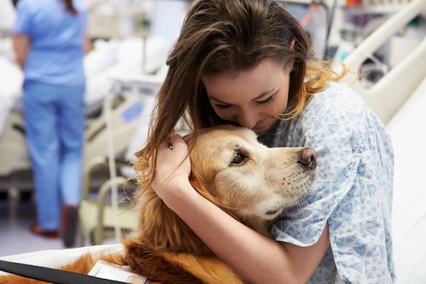 Woman in hospital gown hugs therapy dog