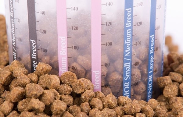 Measuring cup for dog dry food for recommended dose