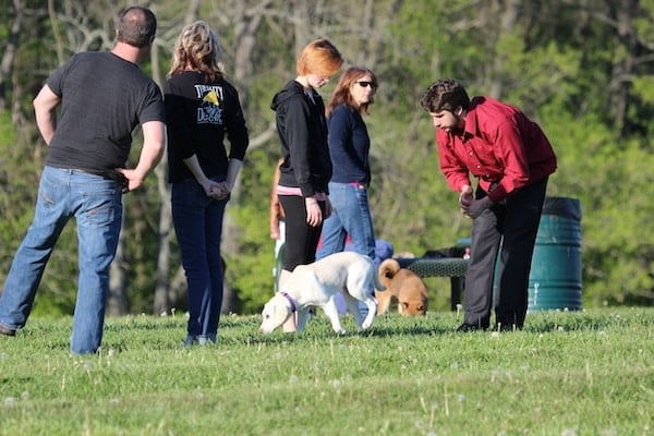  Group of people playing with their dogs at Jacobson Park in Lexington, Kentucky.
